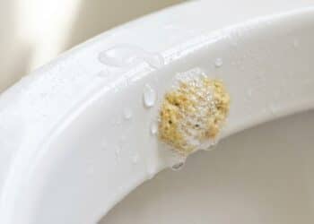 Hábito noturno com vinagre garante limpeza profunda do vaso sanitário