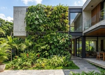 Muro de Camadas: o paisagismo que reduz ruído e refresca sua casa naturalmente