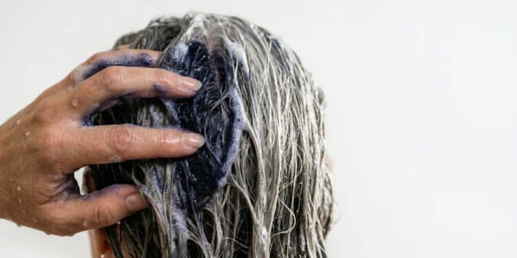 4 shampoos acessíveis que podem disfarçar cabelos brancos sem deixar os fios cheios de química