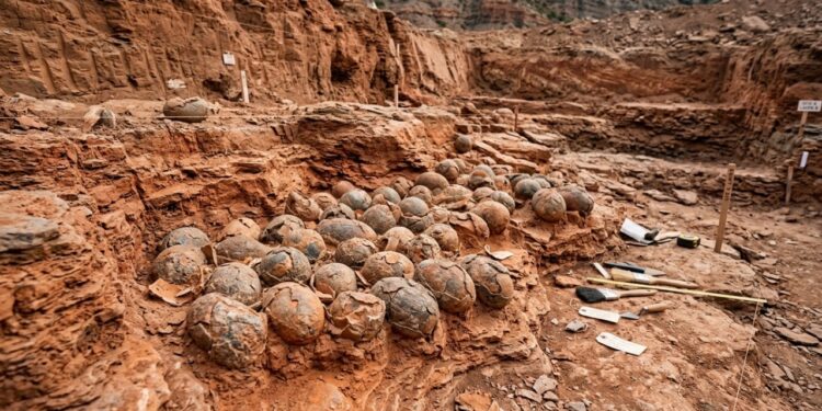 Mais de 100 ovos de dinossauro do tamanho de bola de futebol são achados após 72 milhões de anos