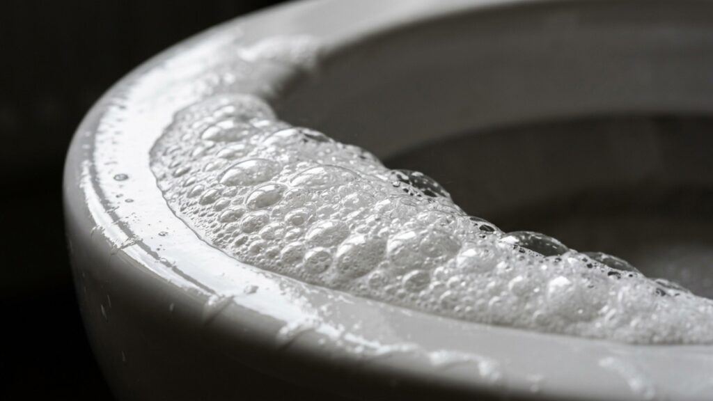 Colocar vinagre no vaso sanitário antes de dormir: para que serve e por que especialistas recomendam