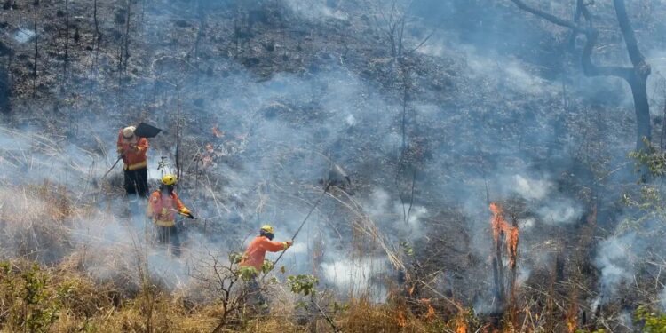 Super El Niño ameaça o Brasil e deixa autoridades em estado de alerta
