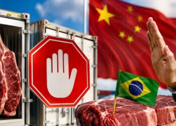 Três frigoríficos brasileiros são suspensos temporariamente pela China após país identificar irregularidades sanitárias