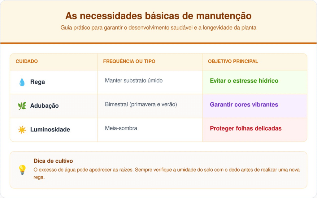 As orientações podem variar conforme o clima e a região do plantio