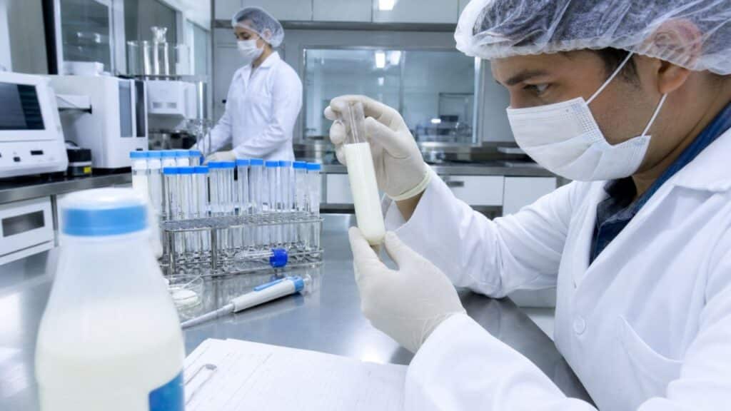 Anvisa proíbe venda de leite de marca popular após identificar fraude e acende alerta aos consumidores