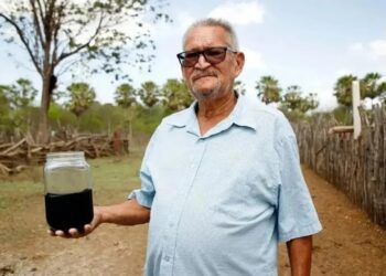 ANP conclui investigação e confirma que substância encontrada em sítio no Ceará é petróleo cru