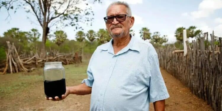 ANP conclui investigação e confirma que substância encontrada em sítio no Ceará é petróleo cru