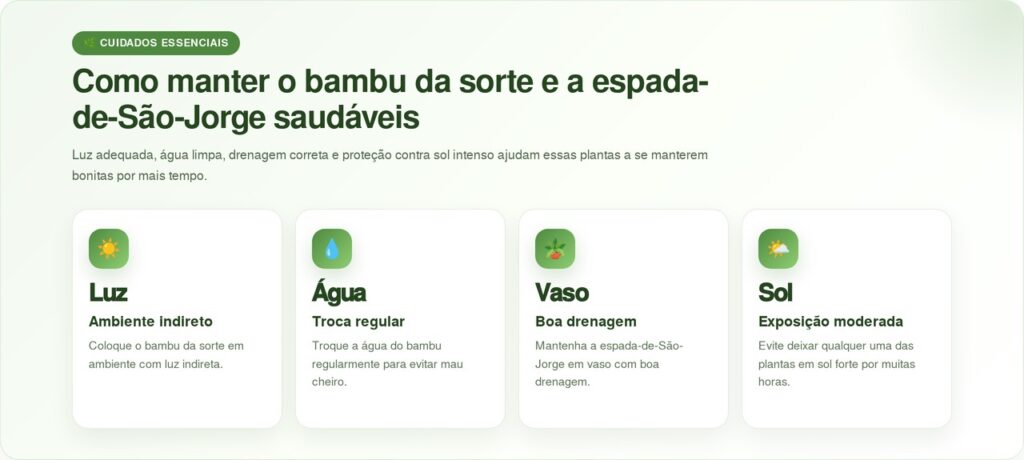 3 plantas que atraem prosperidade e energia positiva para o lar