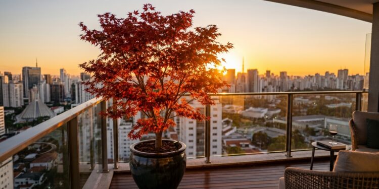 A técnica para colher frutas o ano todo mesmo sem ter terra no chão