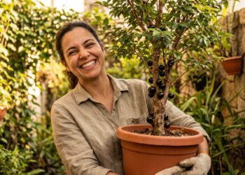Jabuticabeira lidera lista de árvores frutíferas para quintais pequenos e produz frutos diretamente no tronco