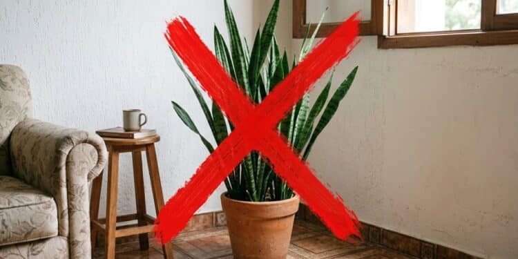 Adeus espada-de-são-jorge: essa planta cresce mais rápido e deixa a casa com visual tropical