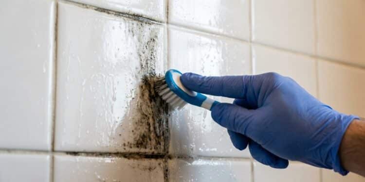Como remover a sujeira do rejunte e dos azulejos do banheiro