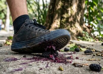 Essa fruta é rica em ferro, vitaminas e fibras, e muita gente pisa nela sem saber seus benefícios