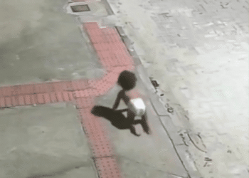 Reprodução/ X