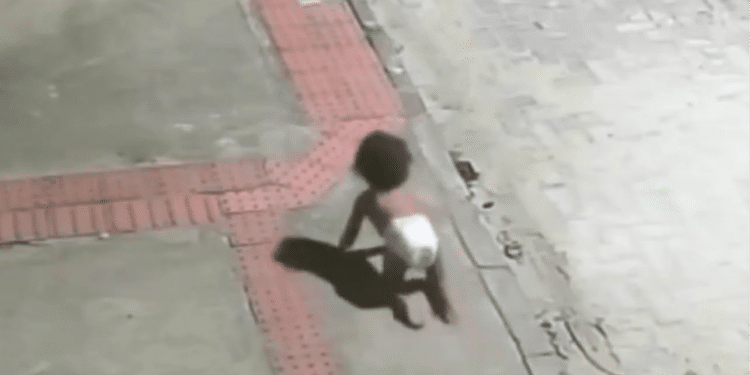 Reprodução/ X