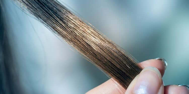 Produto acessível promete efeito de cabelo bem cuidado sem sair de casa