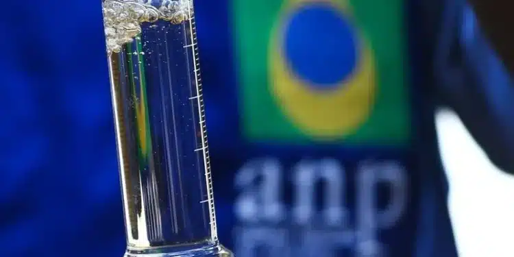 Foto : Marcelo Camargo/Agência Brasil/CP