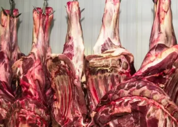 União Europeia mantém veto à carne brasileira sem prazo para recuo - Foto: Marcello Casal Jr/Agência Brasil