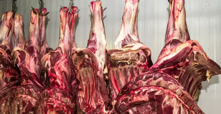 União Europeia mantém veto à carne brasileira sem prazo para recuo - Foto: Marcello Casal Jr/Agência Brasil