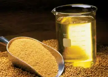 Foto: Reprodução/United Soybean Board/Wikimedia Commons
