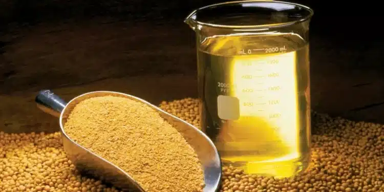 Foto: Reprodução/United Soybean Board/Wikimedia Commons