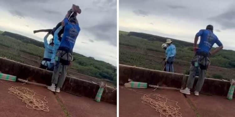 Instrutor de 'rope jump' que orientou jovem para salto que terminou em tragédia diz que cliente anterior desistiu por medo e relembra momentos de tensão