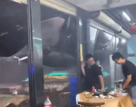 Imagem: Reprodução/ Vídeo