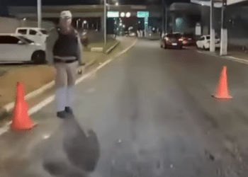 Imagem: Reprodução/ Vídeo