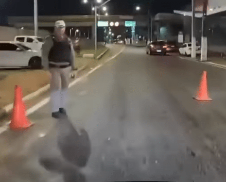Imagem: Reprodução/ Vídeo