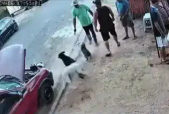 Foto: Reprodução/ Redes sociais