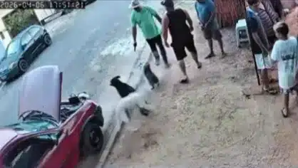 Foto: Reprodução/ Redes sociais