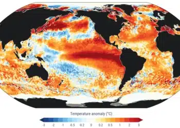 Esta é uma “foto” da anomalia de temperatura da superfície do mar no dia mais quente da história segundo o Copernicus: 22 de agosto de 2026. Créditos: C3S/Copernicus/EMCWF.