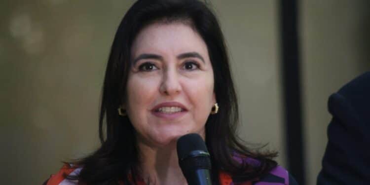 Ministra do Planejamento, Simone Tebet. (Foto: Henrique Arakaki, Arquivo, Jornal Midiamax)