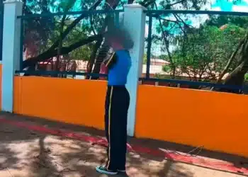 Reprodução