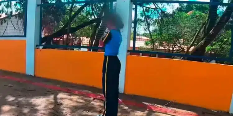 Reprodução