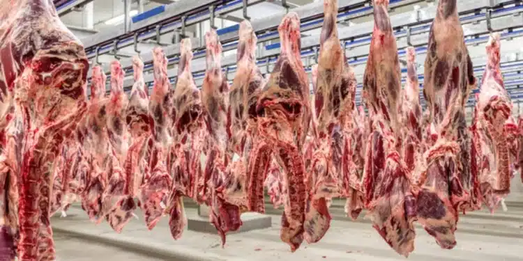 Divulgação/ Ministério da Agricultura e Pecuária
