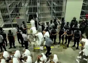 Supostos integrantes da gangue Tren de Aragua, da Venezuela, que foram deportados pelos Estados Unidos chegam a El Salvador  • Governo de El Salvador