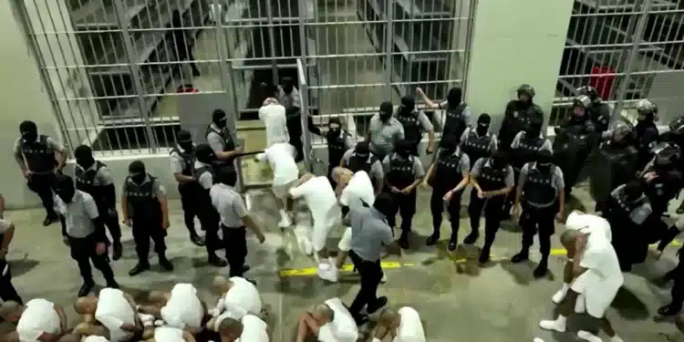 Supostos integrantes da gangue Tren de Aragua, da Venezuela, que foram deportados pelos Estados Unidos chegam a El Salvador • Governo de El Salvador