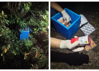 Material radioativo roubado é encontrado abandonado em terreno baldio em São Paulo. — Foto: Divulgação/ANSN e Polícia Civil