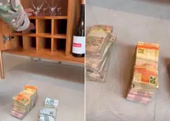 Divulgação/PF